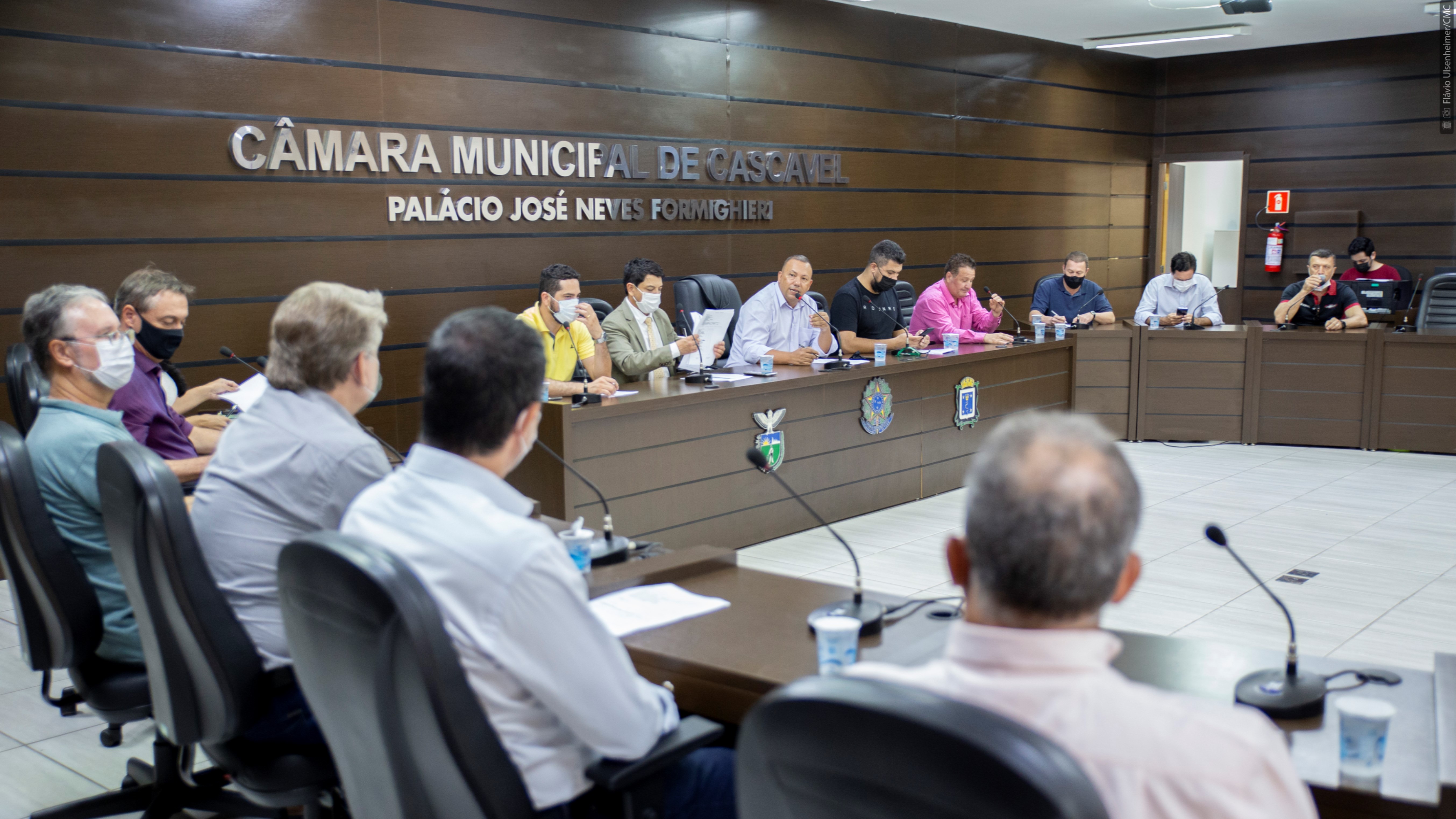Audiência reuniu vereadores, Copel, empresários e produtores rurais