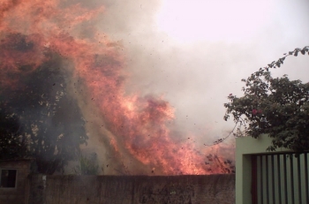 Queimadas urbanas prejudicam o meio ambiente e saúde da população
