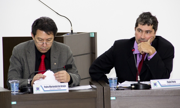 Porto e Martendal apresentaram o projeto conjuntamente
