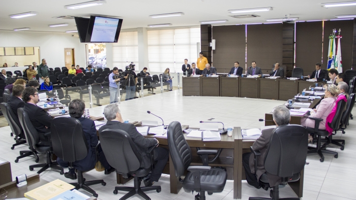 Apresentação durante do relatório para o plenário