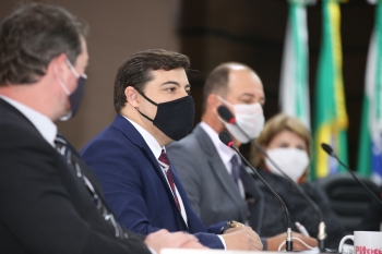 Parlamentar usou como exemplo linhas como as do Morumbi, Floresta, Paulo Godói, Lago Azul, Cataratas, Riviera e São Cristóvão, entre outras