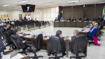 Parecer servirá como precedente para orientar casos futuros