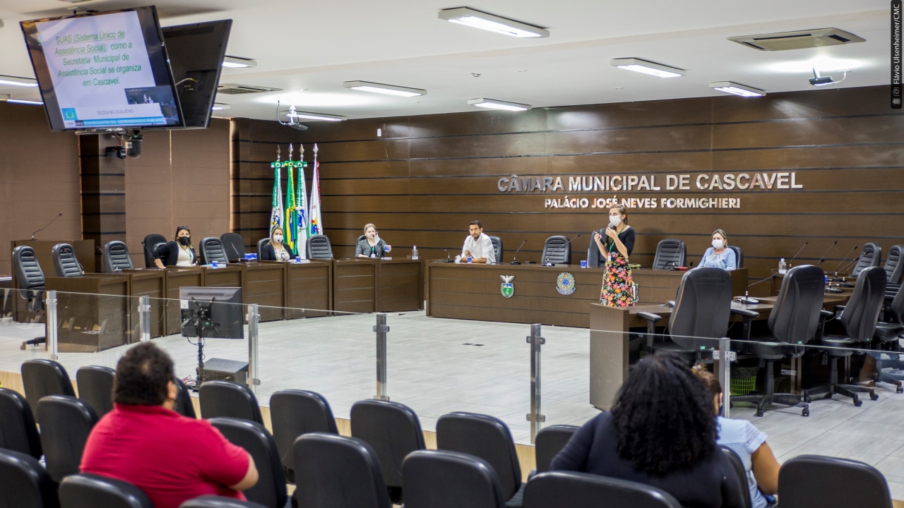 O Cenário da Política de Assistência Social e as particularidades do Paraná  