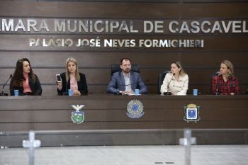 Márcia Baldini fala durante a audiência que foi presidida pelo vereador Fernando Hallberg (centro)