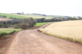 Para o vereador, estradas rurais merecem atenção por garantirem o escoamento das riquezas de Cascavel