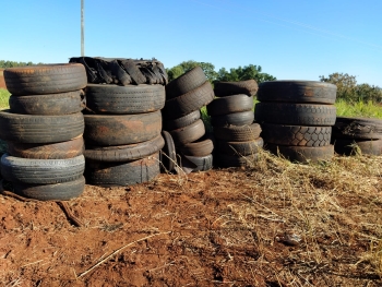 Parte dos pneus encontrados e recolhidos pelo vereador na PR 486, quase todos com acúmulo de água