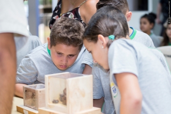 Alunos da escola Aloys João Mann observam as abelhas em atividade dentro das caixas de criação